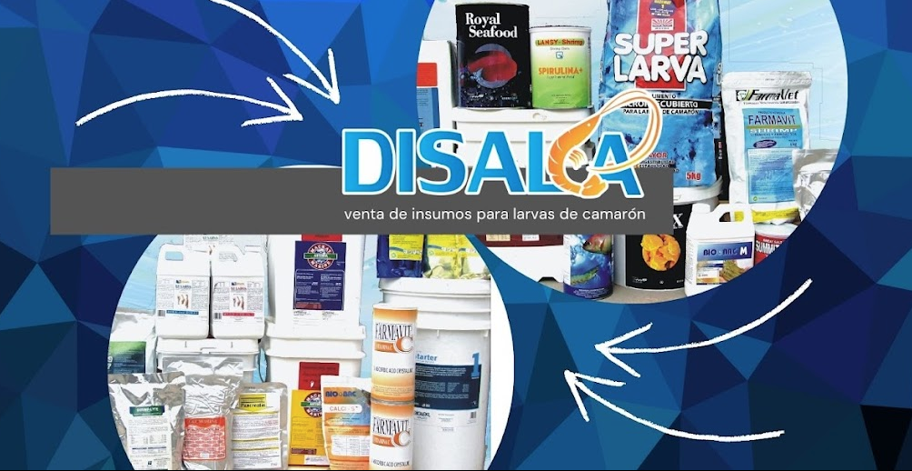Tienda