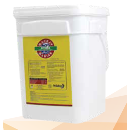 Cistos (huevos) de ARTEMIA (Mackay) - Tacho 7KG