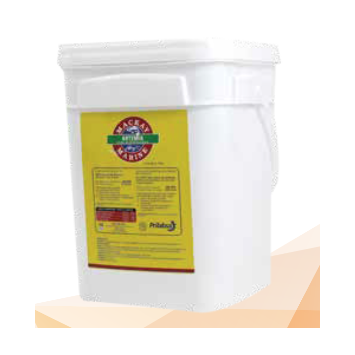 Cistos (huevos) de ARTEMIA (Mackay) - Tacho 7KG