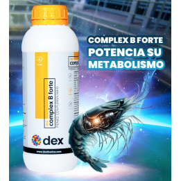 COMPLEX B FORTE - pma. 1 lit
