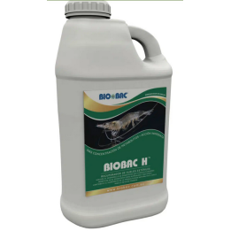 BIOBAC H - gal. 5 lit